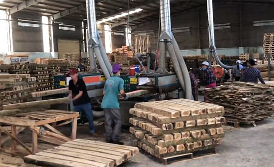 原木多片锯生产线，越南