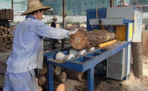 中国地板著名企业-湖北山山林业集团有限公司-使用正启300型号原木多片锯-加工现场