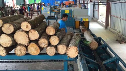 全自动多片锯生产线在斯里兰卡客户现场1